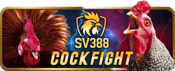 Chương trình khuyến mãi hấp dẫn từ 7clubs plus